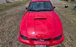 2004 Mustang Thumbnail 94
