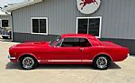 1965 Mustang Thumbnail 2
