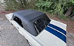 1965 Mustang Shelby GT350 Tribute Thumbnail 18