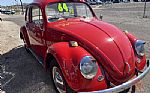 1964 BEETLE Thumbnail 4