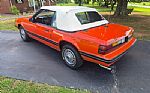 1983 Mustang Thumbnail 5