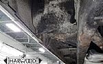 1950 88 Thumbnail 82