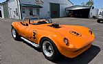 1964 Cheetah Thumbnail 2