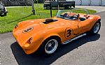 1964 Cheetah Thumbnail 6