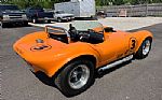 1964 Cheetah Thumbnail 10