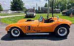 1964 Cheetah Thumbnail 8