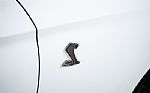 2022 Mustang Shelby GT500 Carbon Ed Thumbnail 19