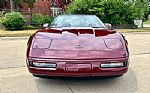 1993 Corvette Thumbnail 21