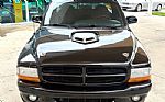 1999 Dakota Thumbnail 3
