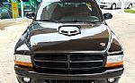 1999 Dakota Thumbnail 3