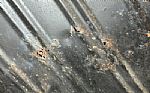 1964 Impala 2 Door Hardtop Thumbnail 55