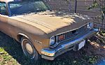 1974 Nova Thumbnail 9