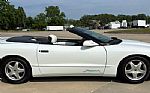 1995 Firebird Firehawk Convertible Thumbnail 2