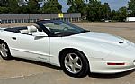 1995 Firebird Firehawk Convertible Thumbnail 1
