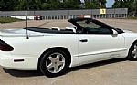 1995 Firebird Firehawk Convertible Thumbnail 3