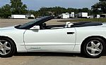 1995 Firebird Firehawk Convertible Thumbnail 5