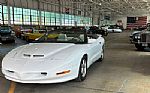 1995 Firebird Firehawk Convertible Thumbnail 15