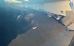 1969 Chevelle SS396 Tribute Thumbnail 38