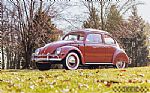 1957 Beetle Ragtop Sedan Thumbnail 33