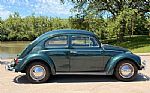 1963 Beetle Thumbnail 2