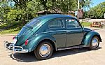 1963 Beetle Thumbnail 3