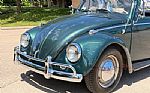 1963 Beetle Thumbnail 49