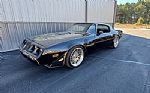1979 Trans Am Y84 Special Edition Thumbnail 1