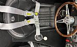 1965 Cobra Thumbnail 31