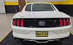 2015 Mustang GT 50th Anniversary Thumbnail 4