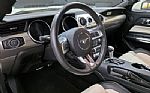 2015 Mustang GT 50th Anniversary Thumbnail 31
