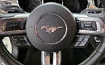 2015 Mustang GT 50th Anniversary Thumbnail 33