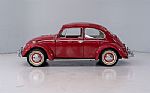 1965 Beetle Thumbnail 2