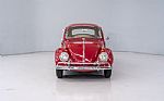 1965 Beetle Thumbnail 4