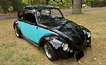 1967 Beetle Thumbnail 1