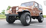 1983 CJ7 Thumbnail 43