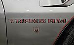 1979 Trans Am Thumbnail 7