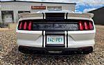 2017 Mustang Thumbnail 10