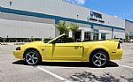2001 Mustang 2dr Convertible GT Del Thumbnail 10