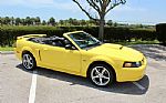 2001 Mustang 2dr Convertible GT Del Thumbnail 21