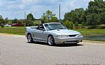 1995 Mustang Thumbnail 7