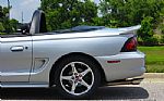 1995 Mustang Thumbnail 19