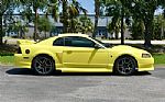 2001 Mustang GT Roush Stage 2 Thumbnail 4