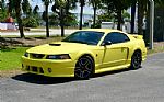 2001 Mustang GT Roush Stage 2 Thumbnail 12