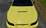 2001 Mustang GT Roush Stage 2 Thumbnail 44