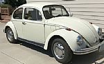 1969 Beetle Thumbnail 1