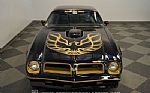 1976 Firebird Trans am 50th anniver Thumbnail 37