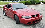 2003 Mustang SVT Cobra Thumbnail 2
