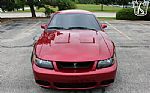 2003 Mustang SVT Cobra Thumbnail 34