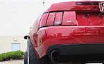 2003 Mustang SVT Cobra Thumbnail 49