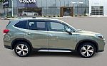 2019 Forester Thumbnail 3